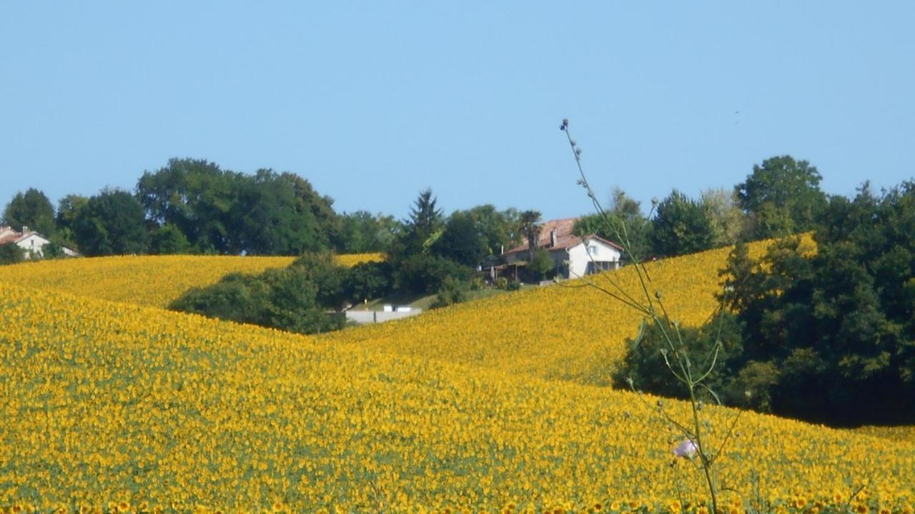 Willa La Tranquillite, Le Repos Nanteuil-Auriac-de-Bourzac Zewnętrze zdjęcie